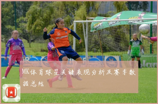 MK体育球星关键表现分析及赛季数据总结