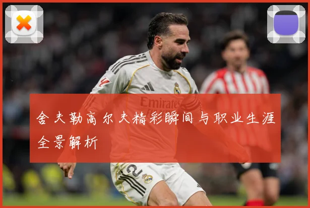舍夫勒高尔夫精彩瞬间与职业生涯全景解析