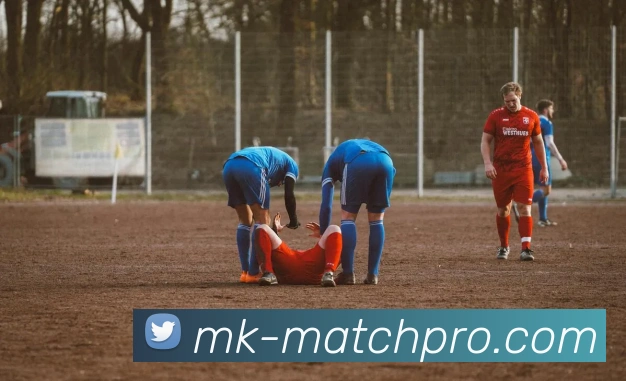 MK体育实时足球比分更新 全面掌握各大赛事进程与数据分析